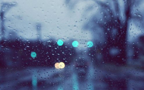 Rain-back01